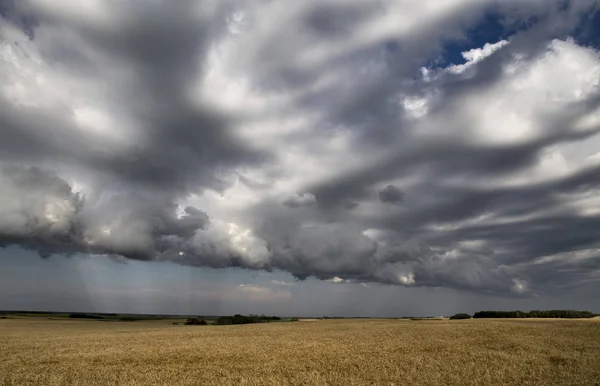 Storm Moln Saskatchewan Prärien Scen Canada Gård — Stockfoto