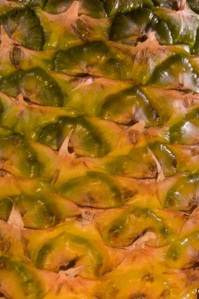 Ananas Ananas Comosus Est Une Plante Tropicale Fruitière Multiple Originaire — Photo