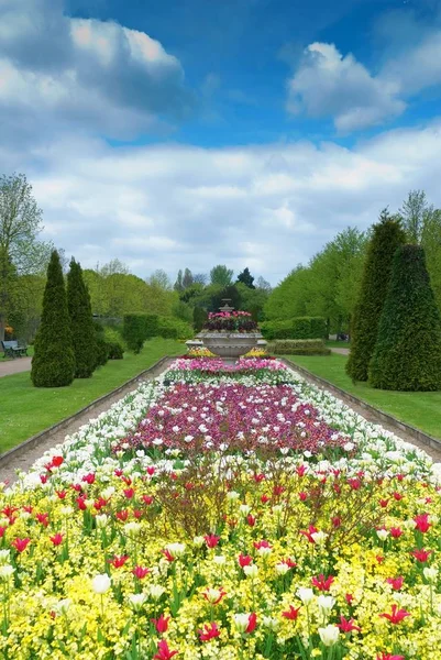 Красива Алея Парку Екзотичними Рослинами — стокове фото