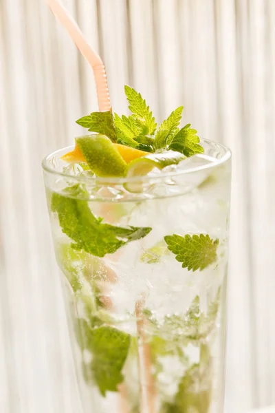 Frischer Mojito Cocktail Glas — Stockfoto