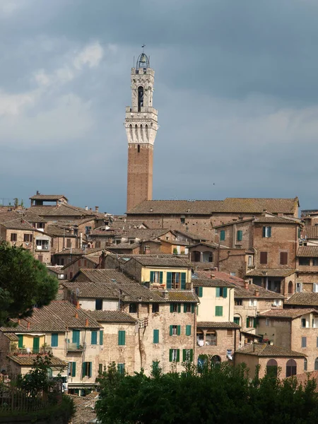 Siena Panorama Del Casco Antiguo Ciudad Con Una Torre Delgada — Foto de Stock