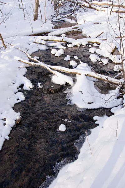 Vinter Liten Och Vacker Flod Skogen — Stockfoto