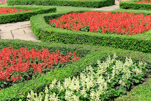 花园路径与主题景观 英语正式花园 — 图库照片