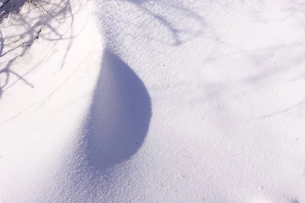 在太阳和冬天雪下的运动 — 图库照片