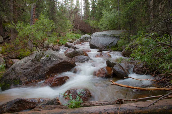 Encore Peu Choses Aussi Relaxantes Paisibles Que Traverser Forêt Pour — Photo