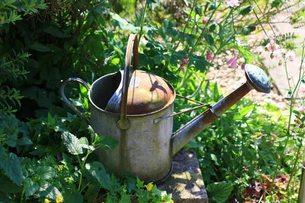 Rusty Watering Can Set Amongst Summer Green Foliage Resting Top — Stock Photo, Image