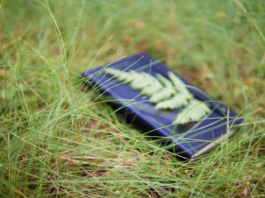 Daydream conceptualisation, dreamy still life with out-of-focus black notebook lying in grass, fern leaf attached clipart