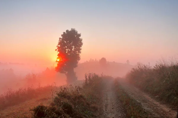 Camino Tierra Mañana Brumosa Montañas Rurales Brumosas Niebla Otoño Amanecer — Foto de Stock