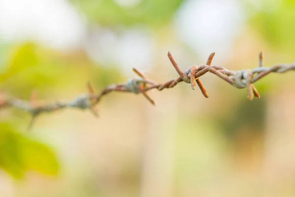 Stacheldraht Oxidado Estilo Borroso — Foto de Stock