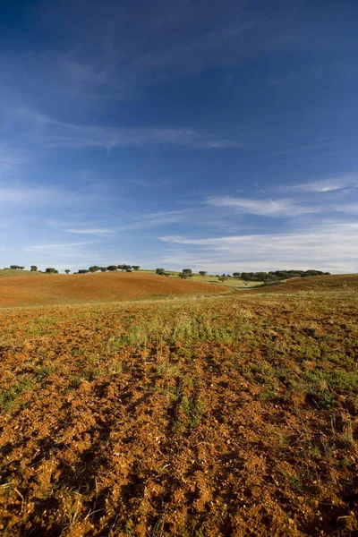 Campo Seco Día Caluroso Verano — Foto de Stock