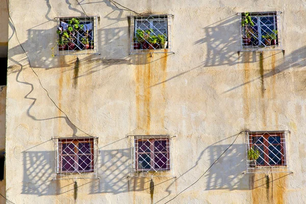 Ventana Marruecos África Antigua Construcción Ladrillo Wal Histórico — Foto de Stock