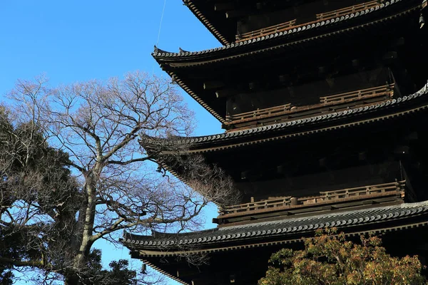 Templo Daigoji Pagoda Cinco Pisos Primavera Kyoto Japónmartillo Madera Dinero — Foto de Stock