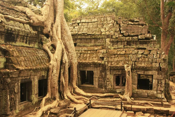Promh Tempel Angkor Området Siem Reap Kambodja — Stockfoto