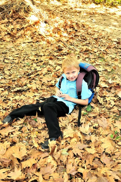 Niño Descansando Parque Entre Otoño Caída Hoja Después Escuela — Foto de Stock