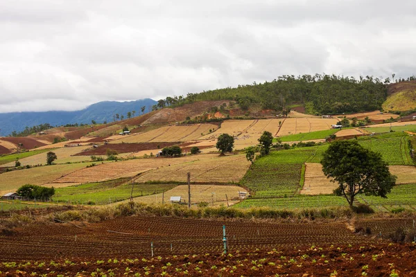 Valle Montagna Del Nord Della Thailandia Con Tempo Nuvoloso — Foto Stock