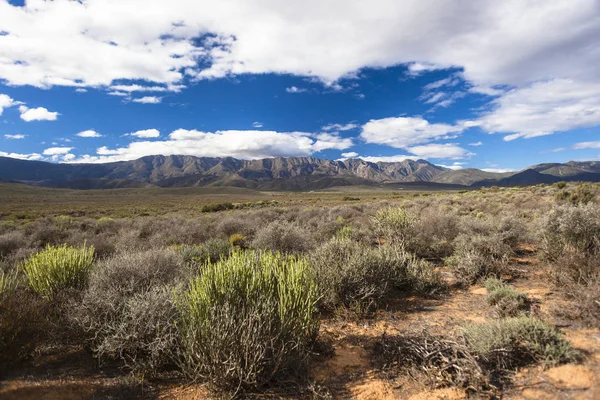 風景高原と遠くの山々の乾燥した乾燥地形植生植物 — ストック写真