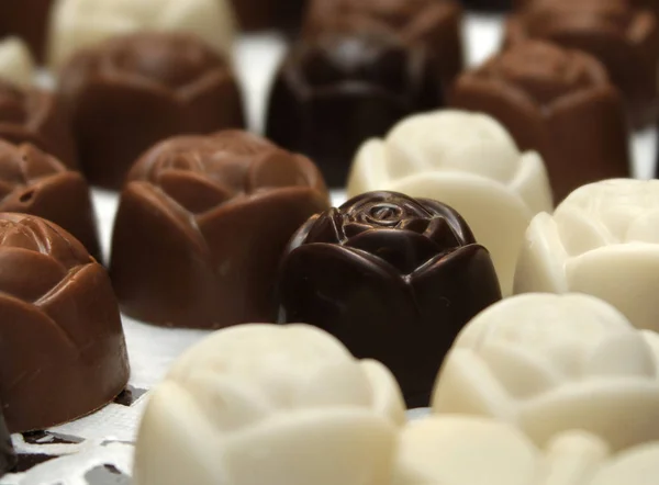 Асортимент Кондитерських Виробів Темного Преміум Білого Шоколаду — стокове фото