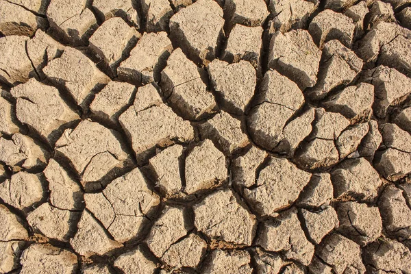 Dry Dirt Close — Stock Photo, Image