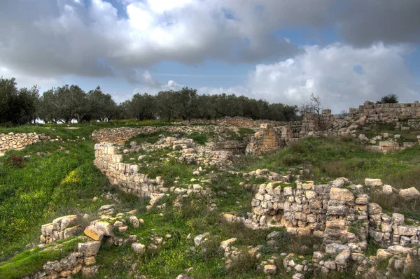 Sebastia Excavación Del Antiguo Israel Territorio Palestino — Foto de Stock