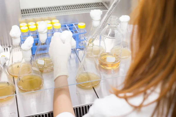 Cientista Vida Pesquisar Laboratório Ciências Vida Estudam Organismos Vivos Nível — Fotografia de Stock