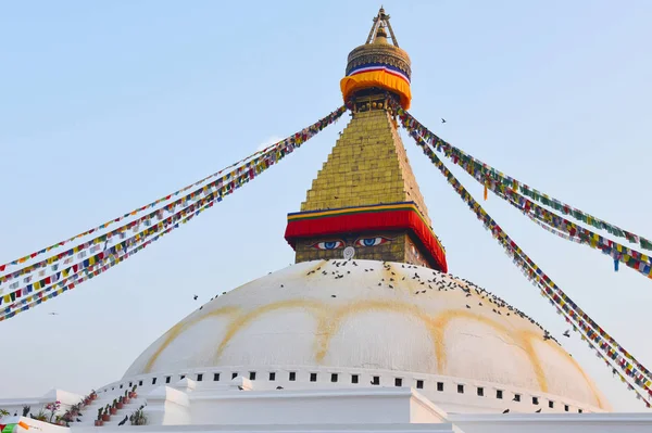 Вид Буднатат Знаменитий Храм Катманду Непал — стокове фото