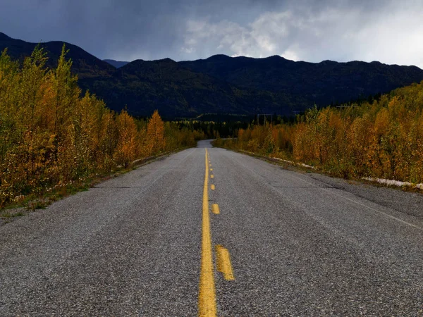 Žlutá Podzimní Barvy Robert Campbell Dálnice Střední Kanada Yukon Území — Stock fotografie