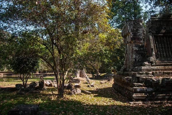 Ruinas Del Templo Prohm Angkor Camboya — Foto de Stock