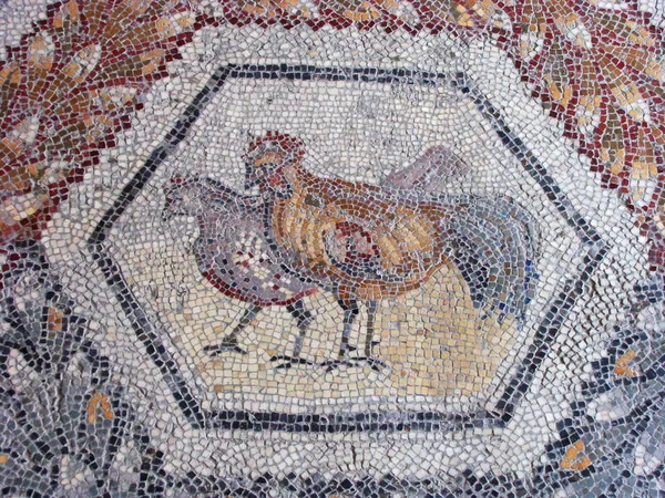 Bardo Müzesi Nde Mozaik — Stok fotoğraf