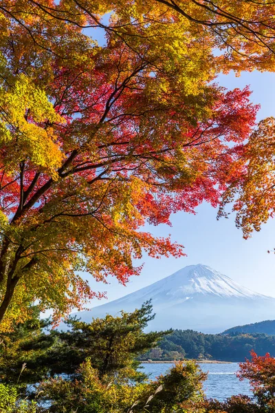 Fuji Hegy Amely Kawaguchi Tóból Látható Ősszel — Stock Fotó
