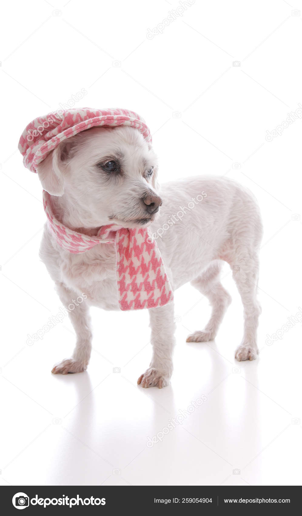 houndstooth winter hat