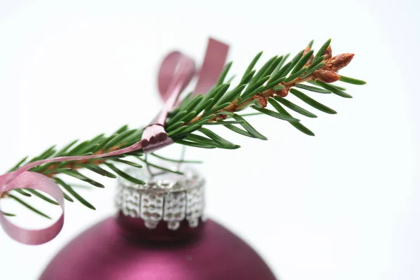 松の木の枝に紫色のクリスマスの飾り — ストック写真