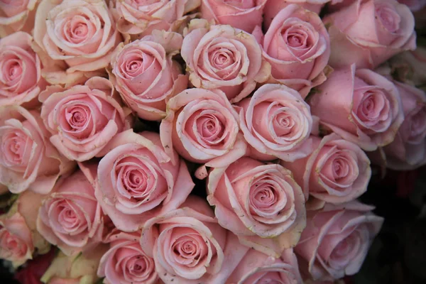 Grupo Rosas Rosadas Pálidas Arreglo Floral — Foto de Stock