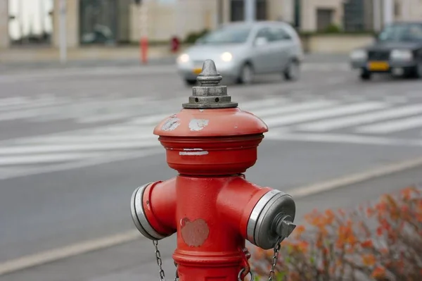 路上の赤消火栓 — ストック写真