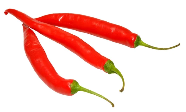 Három Ragyogó Piros Chili Paprika Izolált Fehér Alapon — Stock Fotó