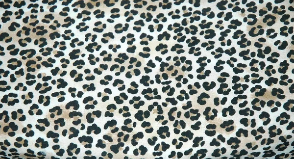 Tapete Pele Leopardo Uma Casa Luxo — Fotografia de Stock