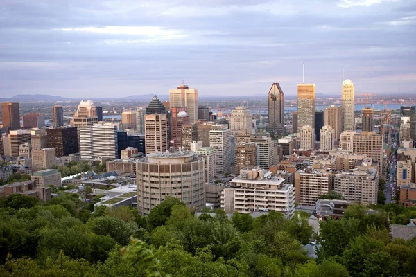 Panoramiczne Zdjęcie Montrealu Miasta Fron Mount Royal — Zdjęcie stockowe