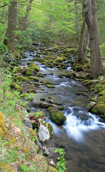 Cours Eau Cascades Dans Parc National Des Grands Lacs — Photo