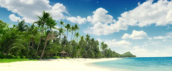 Vista Bonita Playa Tropical Con Algunas Palmeras Alrededor — Foto de Stock