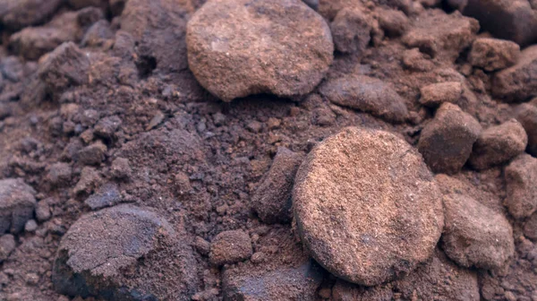 Batu Batu Tanah — Stok Foto