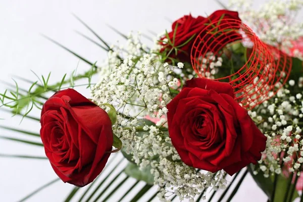 Tři Červené Růže Květiny Whitte Zeleným Listovým — Stock fotografie