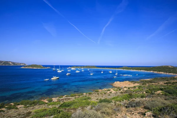 Geweldig Strand Gevestigd Sardinië — Stockfoto