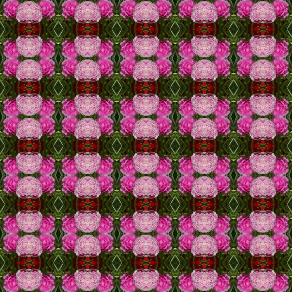 Portulaca flower, small flower planted in the garden, have pink color seamless use as pattern and wallpaper.
