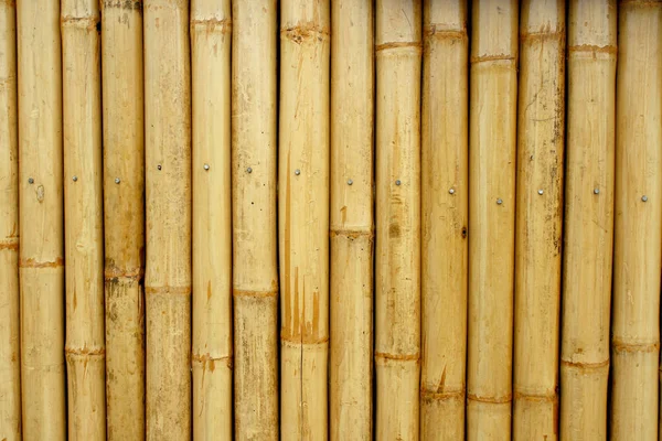 Nahaufnahme Bambus Hintergrund Textur Mit Spalten — Stockfoto