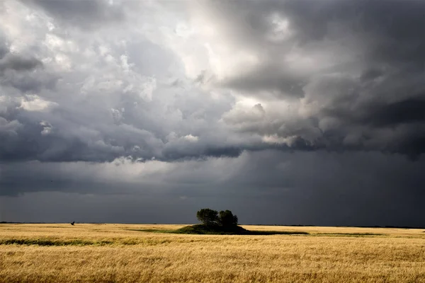 Storm Moln Saskatchewan Prärien Scen Canada Gård — Stockfoto