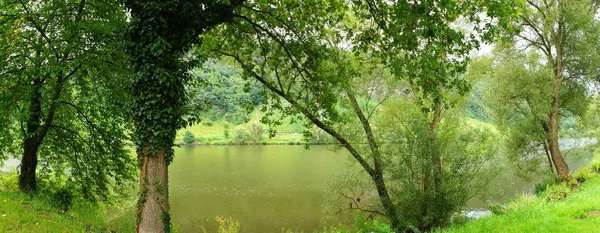 Green Moseldalen Panorama — Stockfoto