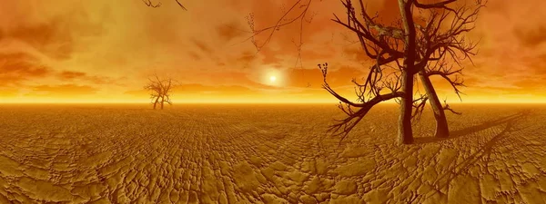 Dos Troncos Muertos Desierto Muy Caliente Seco Atardecer 360 Grados — Foto de Stock