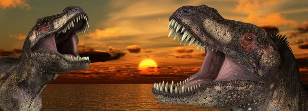Een Tyrannosaurus Rex Brullende Bij Een Zonsopgang — Stockfoto