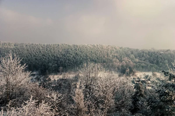 Retro Beautiful Mountain View Forest Winter Ukraine — Stock Photo, Image