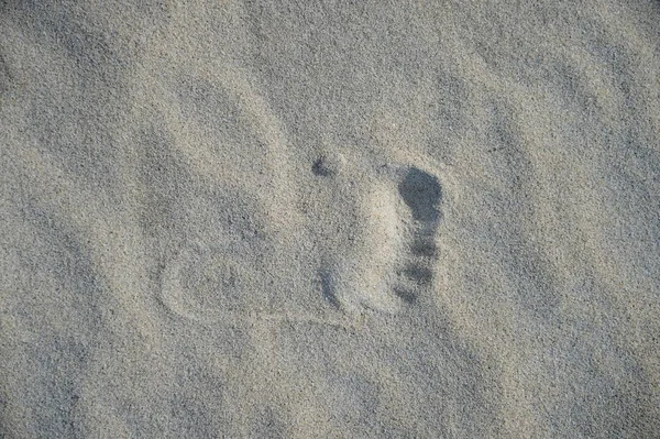 Una Imagen Conceptual Playa Con Una Variedad Artículos Playa — Foto de Stock