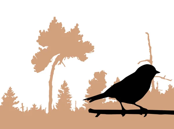 Vektorsilhouette Des Vogels Auf Ast — Stockfoto